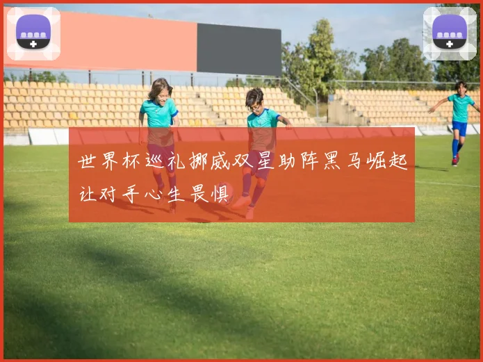 世界杯巡礼挪威双星助阵黑马崛起让对手心生畏惧